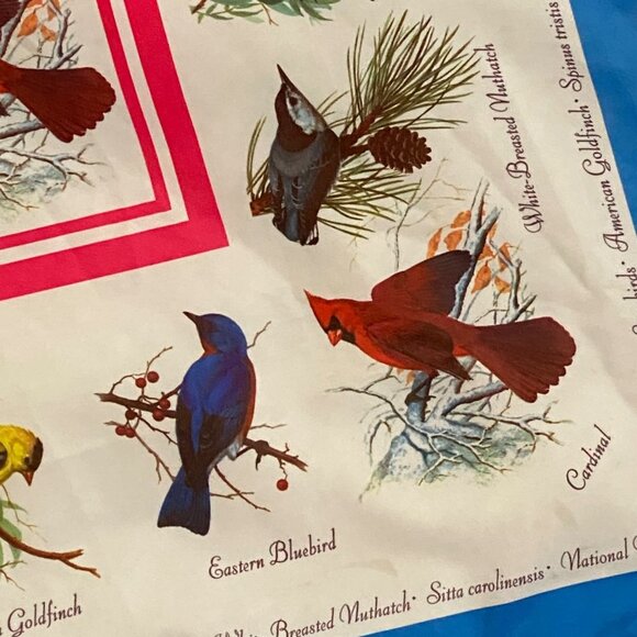Vtg 1975 National Wildlife Federation Protect our Songbirds Square Scarf 22"x22" - Picture 3 of 10